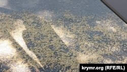 Міністр Роберт Телус зауважив, що «на основі, яка є на даний момент, польське сільське господарство ніколи не переможе українське»