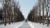 У Черкасах зелені активісти готові прив’язатися до дерев