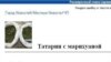 Новокузнецки шәһәре интернет-сәхифәсендә чыккан мәкалә