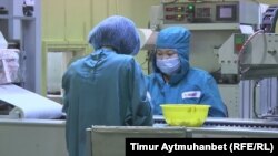 Сотрудники компании «Ромат» за работой. Павлодар, 2016 год.