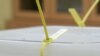 Elections under pressure: Can the CEC of BiH conduct presidential elections in the RS?