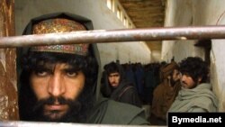 Кабул подозревает Пакистан в тайном покровительстве талибам