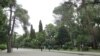 Сухумчане нередко жалуются на то, что городские улицы и скверы лысеют