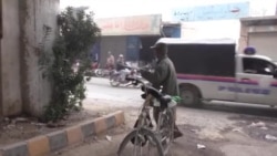 انکل ډېسکو د کوټې ونې بوټي اوبه کوي