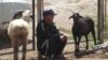 Kyrgyzstan-Naryn, 26Aug2015