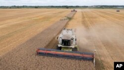 У Єврокомісії зауважують, що викривлення ринку в 5 країнах-членах ЄС, які межують з Україною, зникли