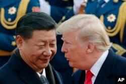 Сі та Трамп під час першої каденції Трампа на посаді президента США. Пекін 9 листопада 2017 року