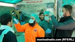 روغتیاپالان د مساپرو د بدن تودوښه معلوموي