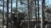 Артилерійська система Archer шведського виробництва, фото ілюстративне