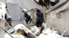 A migrant stands outside a tent on a snowy winter day at the Vucjak refugee camp outside Bihac on December 4.