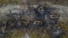 Генштаб: РФ далі частково відводить війська з півночі Київщини, вивозить награбоване