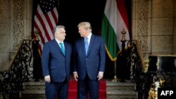 Віктор Орбан та Дональд Трамп під час зустрічі у Флориді, США, березень 2024 року 